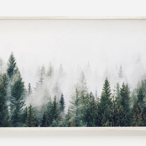Nebliger Kiefernwald, Natur Wandkunst, Nebelgrüner Wald Druck, Moderne Wohndekoration, Waldfotografie Kunst, Grüner Kiefernwald Druck, druckbar