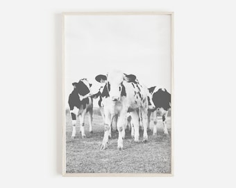 Black And White Cow Print, Modern Farm house Decor, Cow Poster, Farmhouse Printable, Cow Art, Buffalo Print, Cattle Wall Art, Rustic Decor