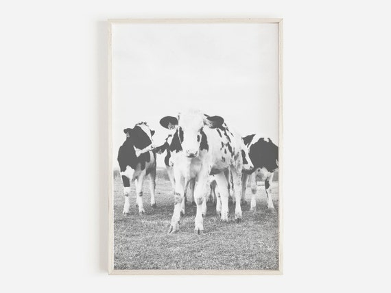 Black And White Cow Print, Modern Farm house Decor, Cow Poster, Farmhouse Printable, Cow Art, Buffalo Print, Cattle Wall Art, Rustic Decor