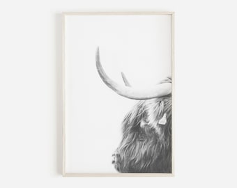Highland Cow Print, Black and White Print, Large Wall Art Print, Black and White Photography Prints, Boho Decor, Cow Art, Animal Print