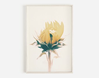 Floral Art Print, Modern Farmhouse Art Print, Boho Art Print, Bohemian Wall Art, Sunflower Poster, Wildflower Print, Pastel Flower Decor