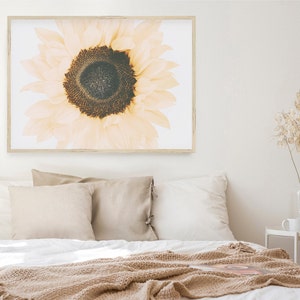 May include: A framed print of a close-up of a sunflower with a light yellow and brown color scheme. The sunflower is in focus and the background is blurred.