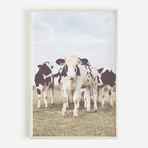 Cow Print, Rustic Farmhouse Decor, Cattle Wall Art, Cow Wall Art, Farmhouse Art Cow Printable, Ranch Print, Farmhouse Poster, Large Wall Art