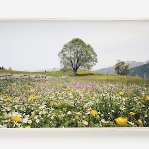 Spring Flower Field Photo, Landscape Wall Art, Nature Photography, Floral Printable Art, Farmhouse Wall Art, Spring Floral Decor