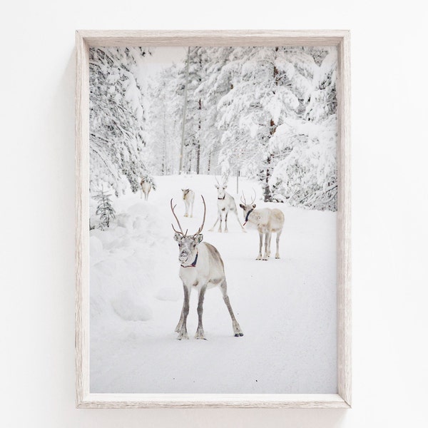 Reindeer Print, Farmhouse Decor, Christmas Print, Rustic Christmas Printable, Winter Animal Print, Holiday Decor, Nature Print,Printable Art