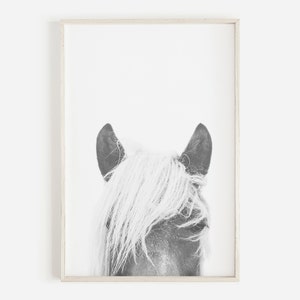 Horse print, printable wall art poster, black and white horse photography, instant download horse printable art, modern horse art, large art