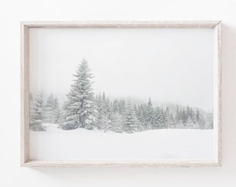 May include: A framed photograph of a snowy forest scene with tall evergreen trees covered in white snow. The trees are silhouetted against a hazy white sky.