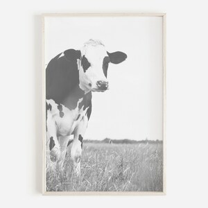 Cattle Wall Art Rustic Farmhouse Kitchen Decor, Cow Wall Art, Cattle Photography, Ranch Print, Farmhouse Poster, Farm Print, Cow Printable