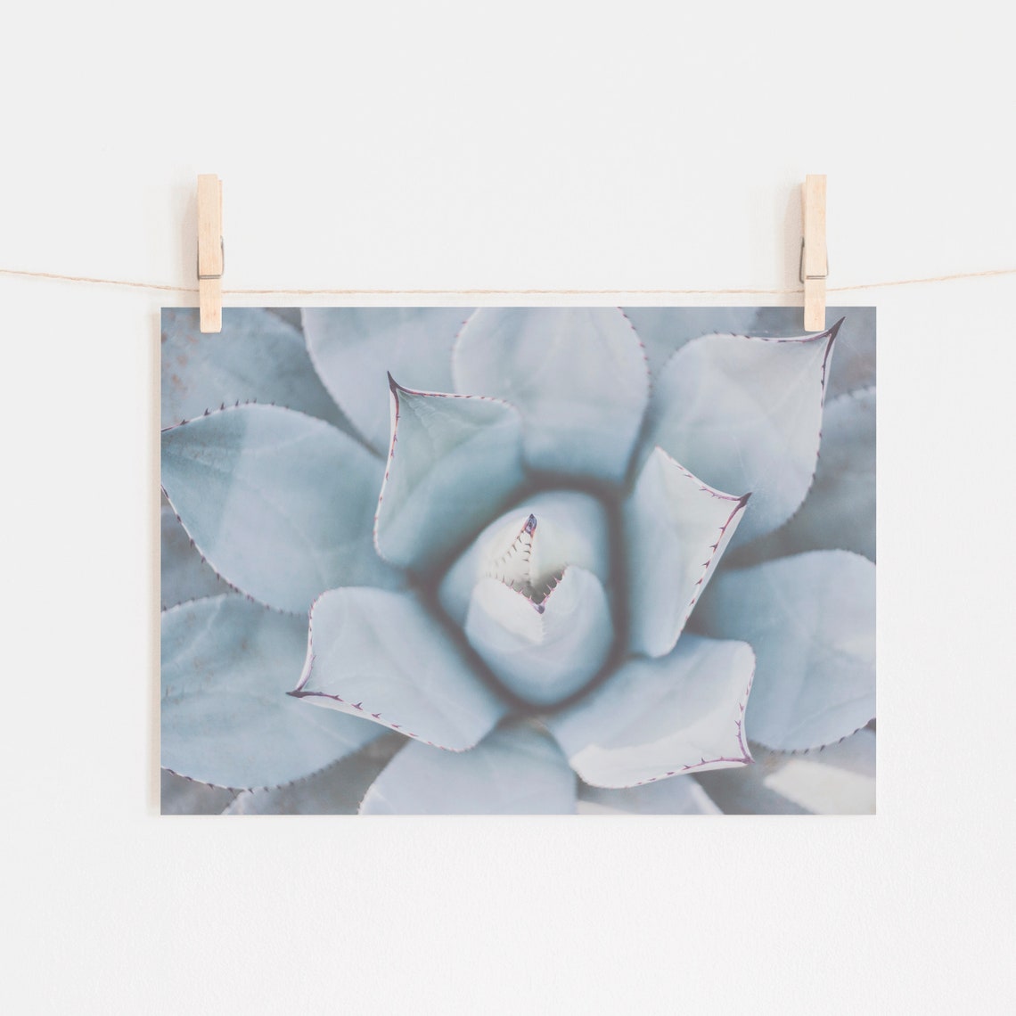Succulent Printable Blue Wall Art Succulent Art Print - Etsy