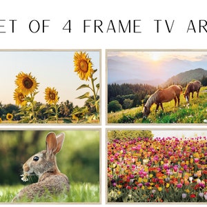 Samsung Frame TV Art | Tulip Digital Art | Spring Art for Frame TV | Set of 4 Tv Art | Horses and Sunset | Bunny Rabbit | Spring Floral Art