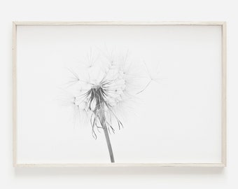 Dandelion Wall Art, Modern Farmhouse Decor, Black And White Floral Print, Dandelion Printable, Horizontal Wall Art, Instant Download