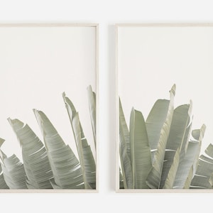Banane Blätter Tropische Blätter Druck 2er Set Drucke Banane Blatt Druck Tropischer Dekor Botanischer Druck Tropische Blätter Tropische Wand Kunstdrucke