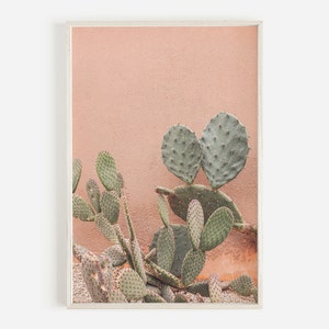 Rosa Kaktus Druck, Kaktus Fotografie, druckbare Wandkunst, Western Wandkunst, botanisches Dekor, südwestlichen Dekor, DIGITALER DOWNLOAD