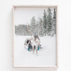 Reindeer Print, Christmas Decor, Animal Printable, Winter Reindeer Print, Winter Prints, Christmas Wall Art, Deer Print, Holiday Decor