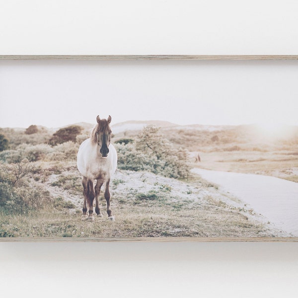 Samsung Frame TV Art | Beach Horse Digital Art | Wild Pony Photo | Art for Frame TV | Boho Frame TV Download | Samsung Art Frame