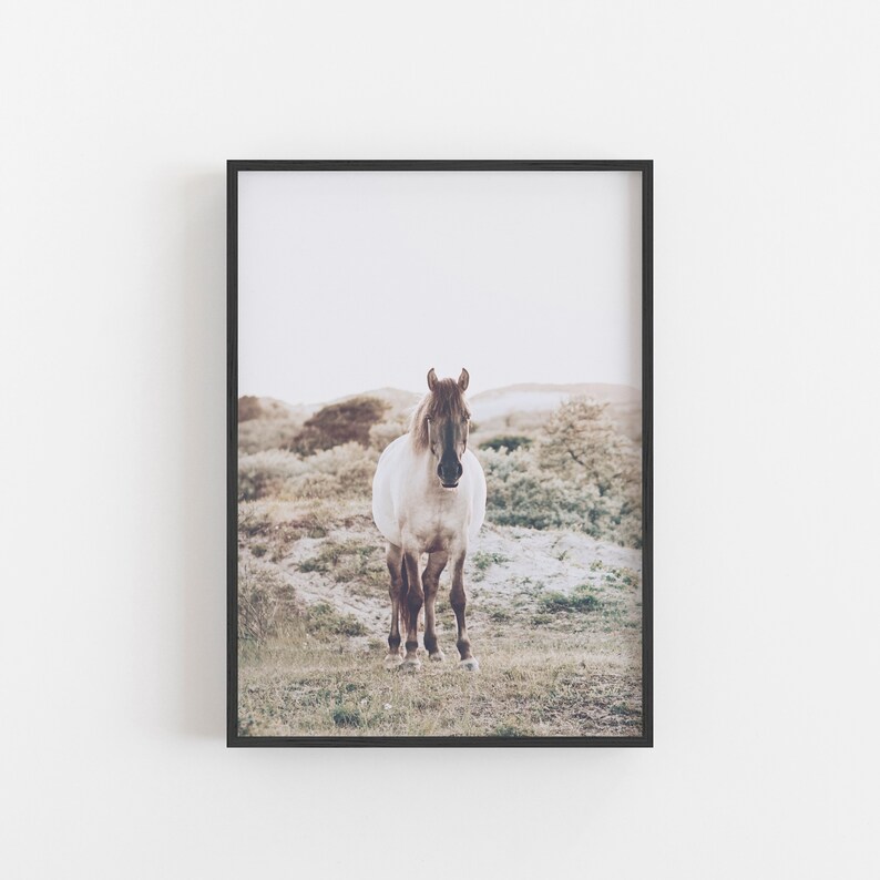 May include: A white and brown horse stands in a field of tall grass. The horse is looking directly at the camera. The background is a blurry landscape of sand dunes and vegetation.