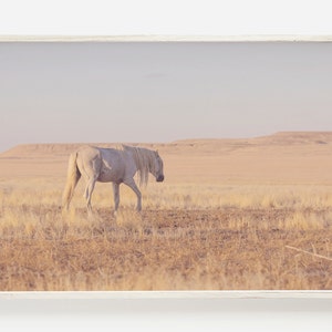 Wild Horse Wall Art, Horse Wall Art Prints, Horse Photography, Printable Wall Art, Large Horse Poster,Farmhouse Decor,Rustic Horse Printable