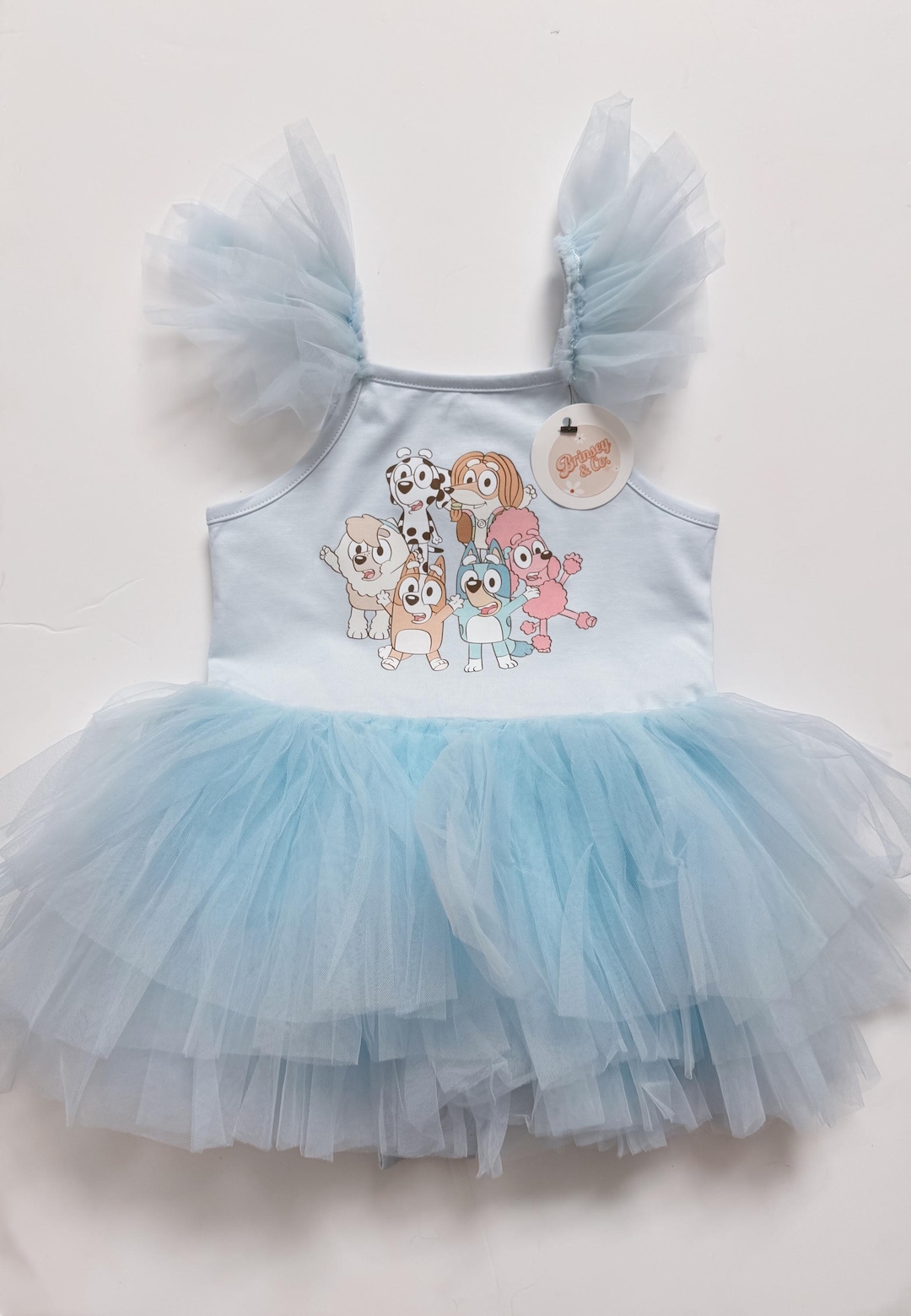 Heeler Friends Tutu Dress, Baby Blue, Tutu, Dress, Ballet, Ballerina ...
