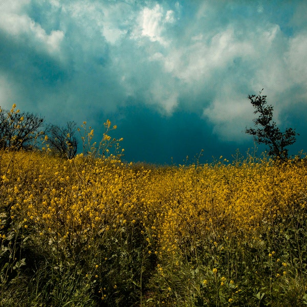 Cloudy Hills in the West Landscape Digital Photo