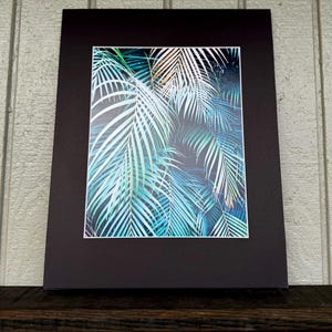 Hawaiian Palm Leaves 8x10 Printed Hawaiian Photo in 11x14 Matte. Hawaii. Matted Photo Print.