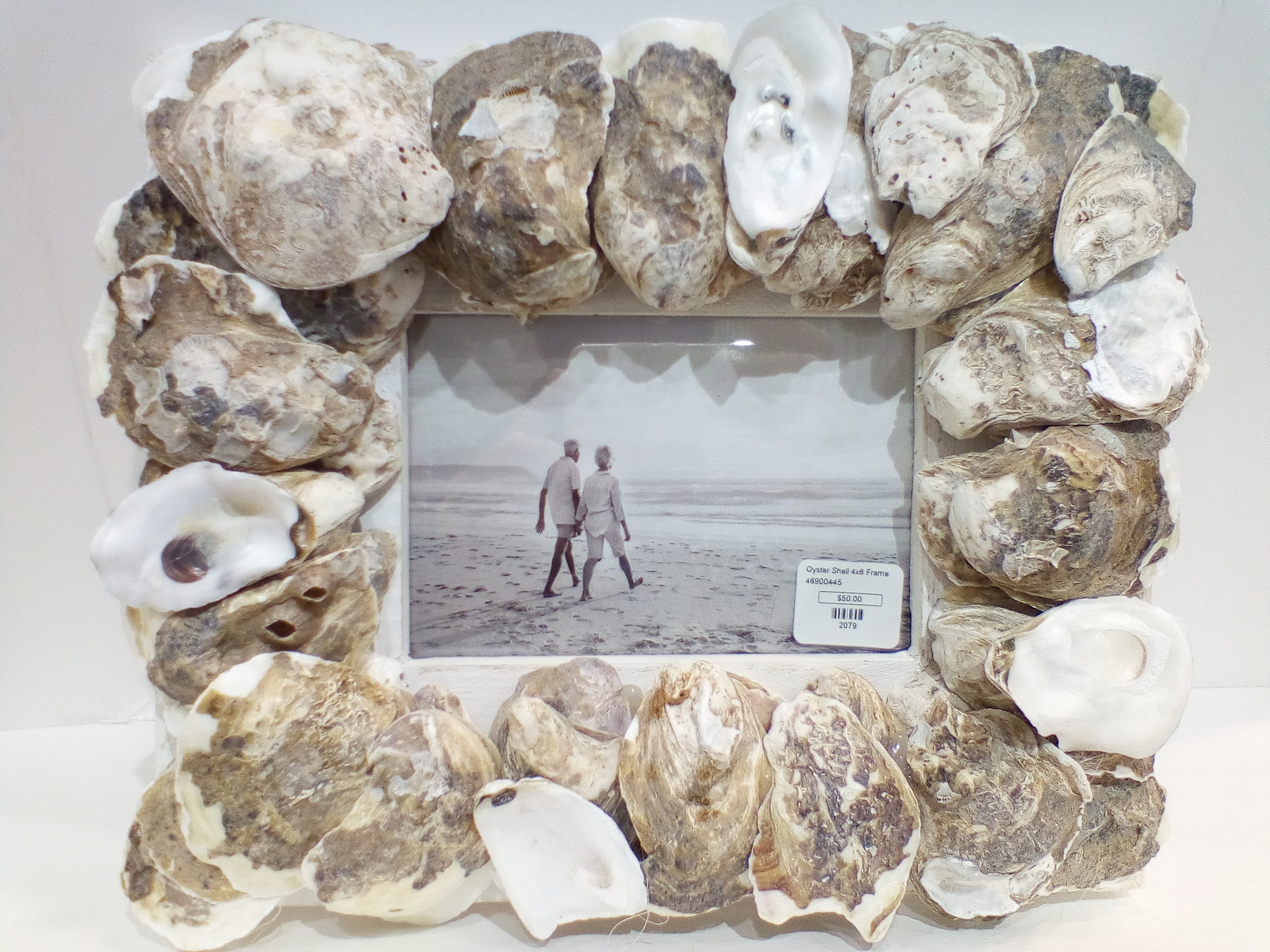 Oyster Shell Frame 4X6 Etsy