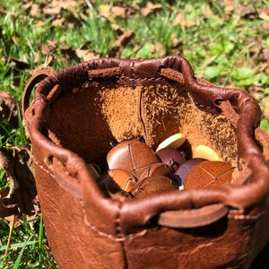 May include: A brown leather pouch with a drawstring closure, filled with wooden dice. The pouch is sitting on a bed of green grass and brown leaves.