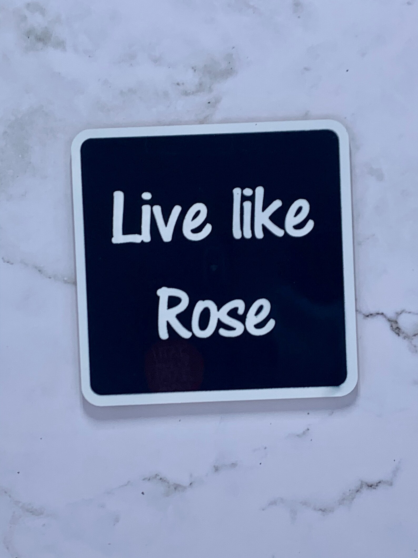 Rose Blanche Dorothy and Sophia Coaster Set Infusible Ink Etsy