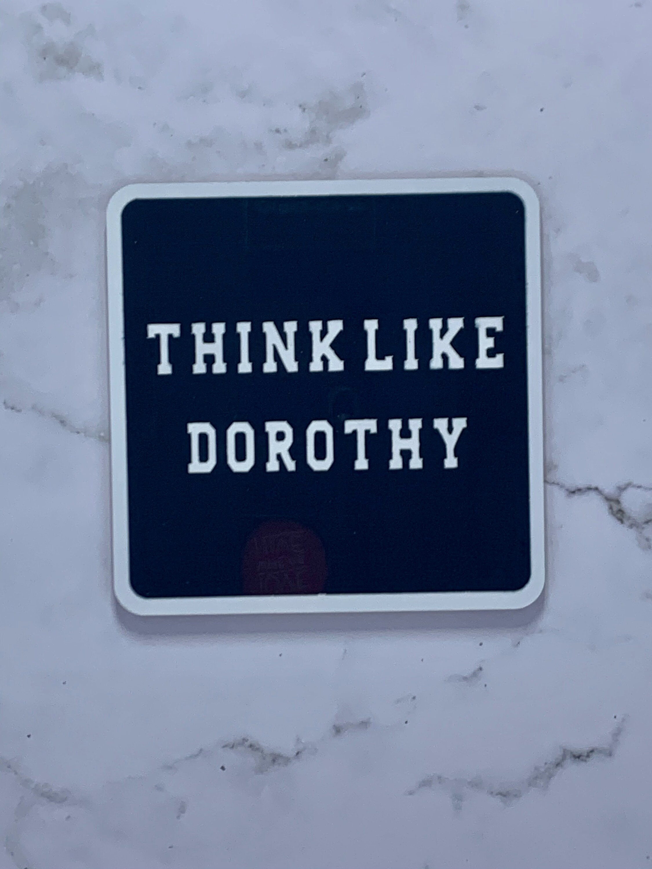 Rose Blanche Dorothy and Sophia Coaster Set Infusible Ink Etsy