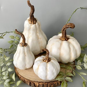 Autumn decoration pumpkins, decorative pumpkin in white, table decoration autumn, ornamental pumpkins, window decoration autumn standing, pumpkin decoration set