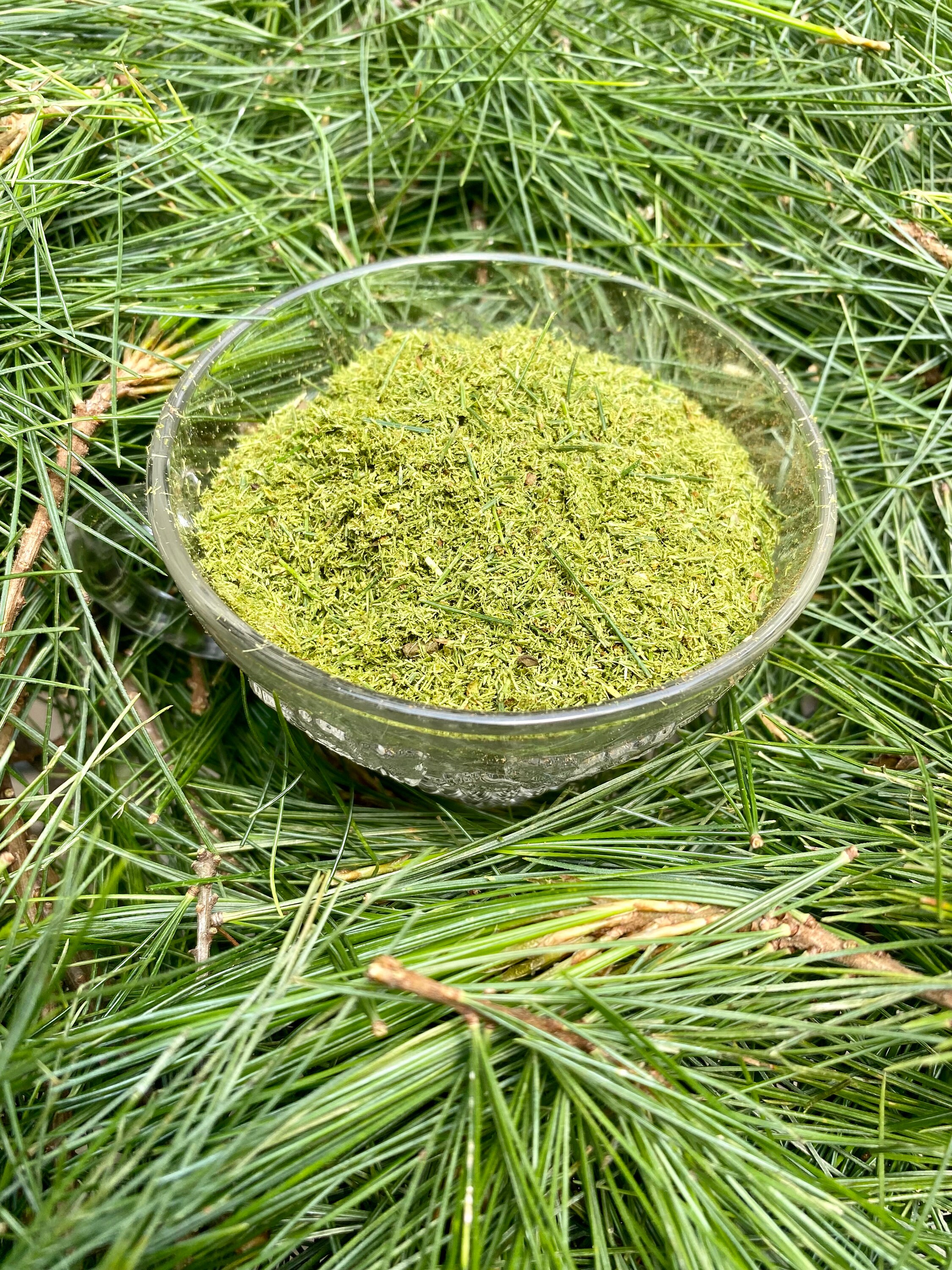 How To Make Pine Needle Powder at Joan Munoz blog