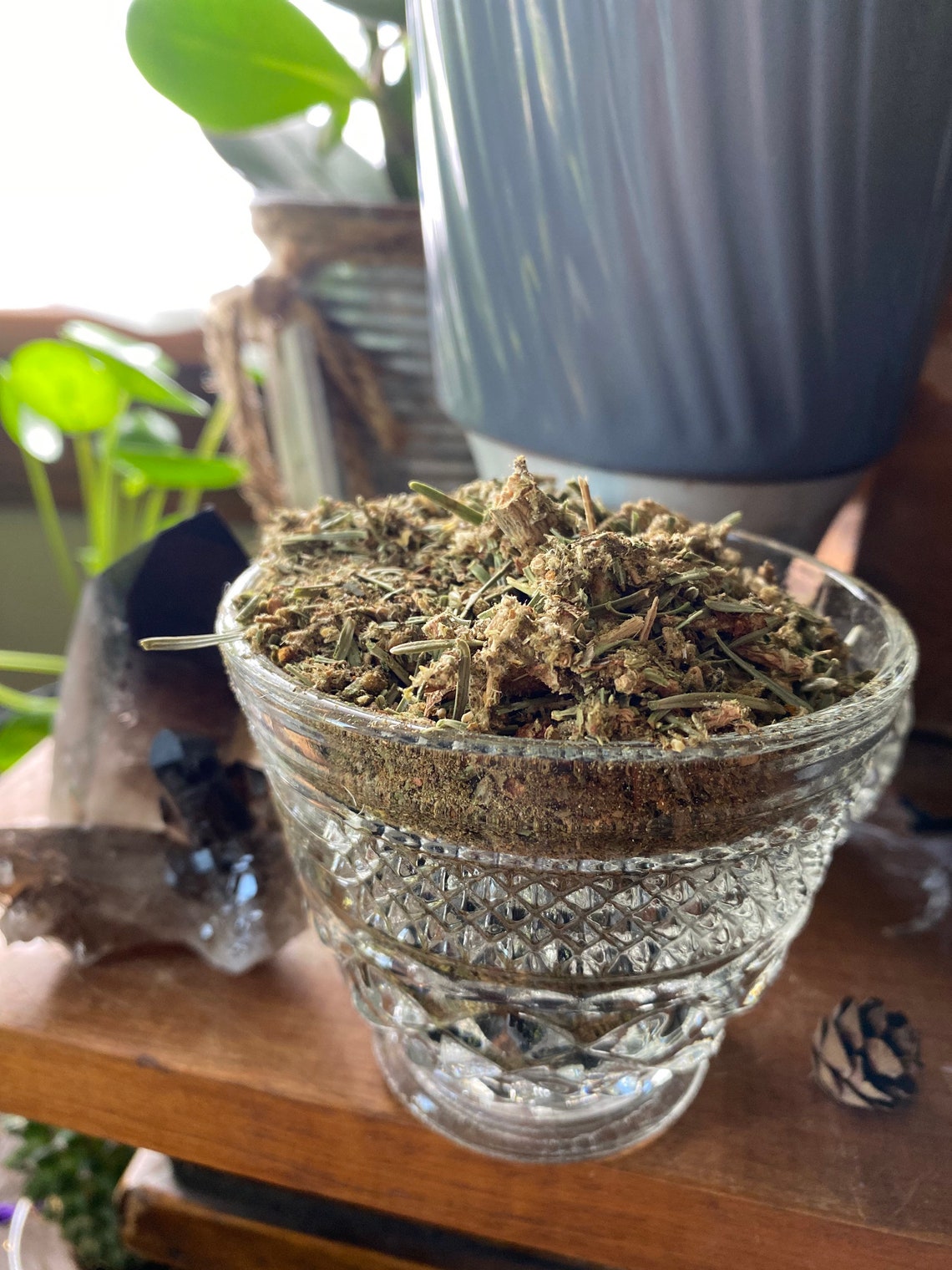 Pine Needle Tea1 or 2 Oz White Pine Needle Tea White Pine Etsy Ireland