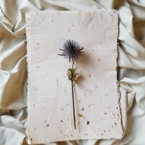 Handmade Artisan Paper | Set of 10 | Recycled Paper | Deckle edged with flowers and leaves