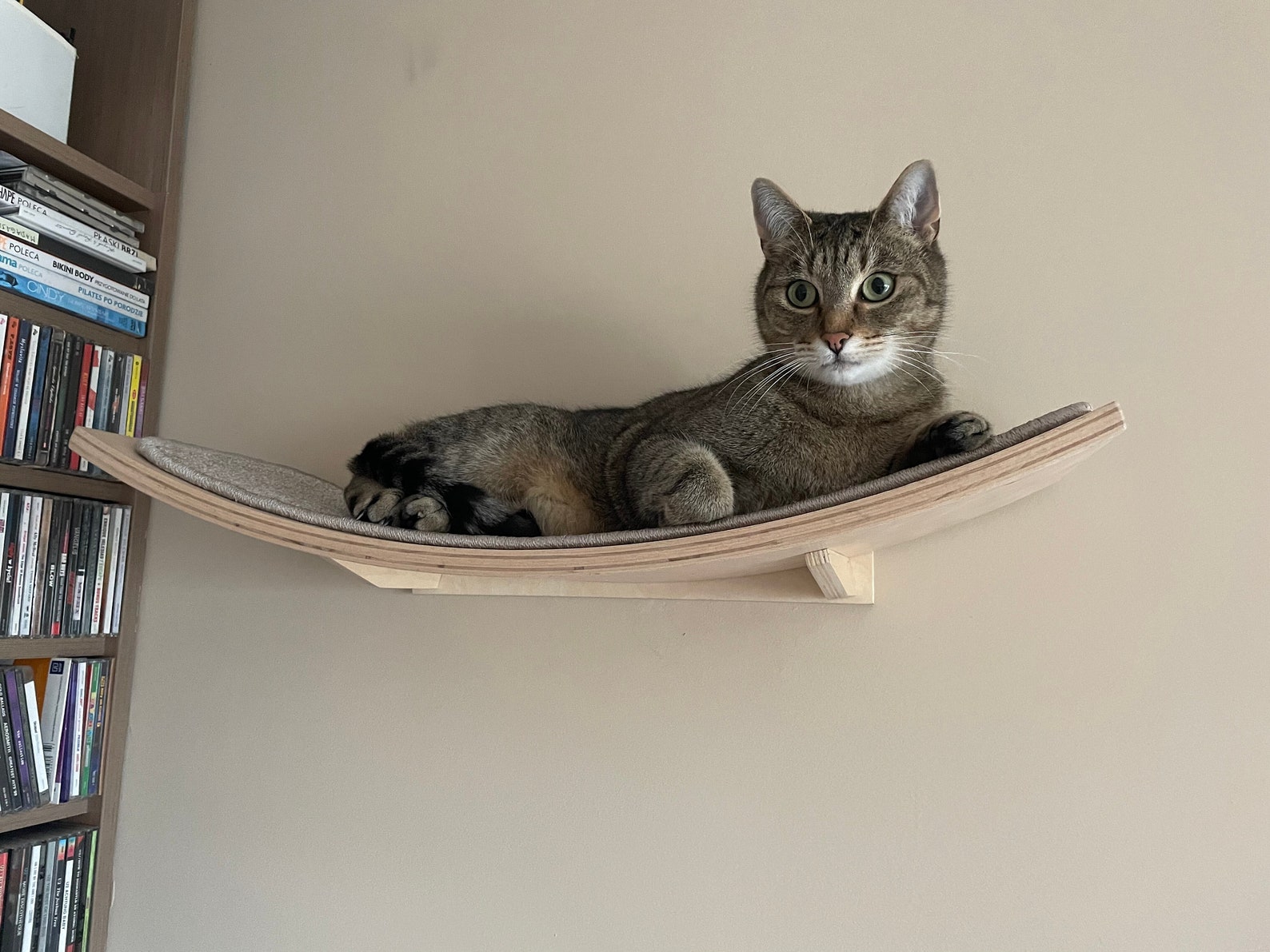 Cat Shelf Cat Furniture Wooden Cat Shelves Cat Bed Pet Etsy