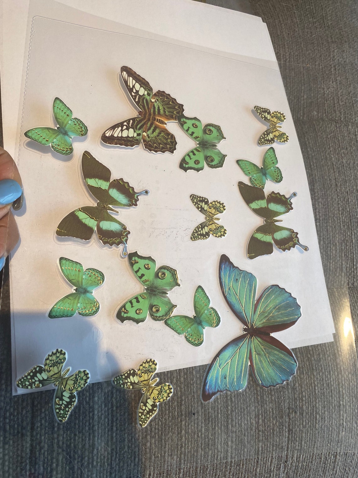 Laminated Butterflies Etsy