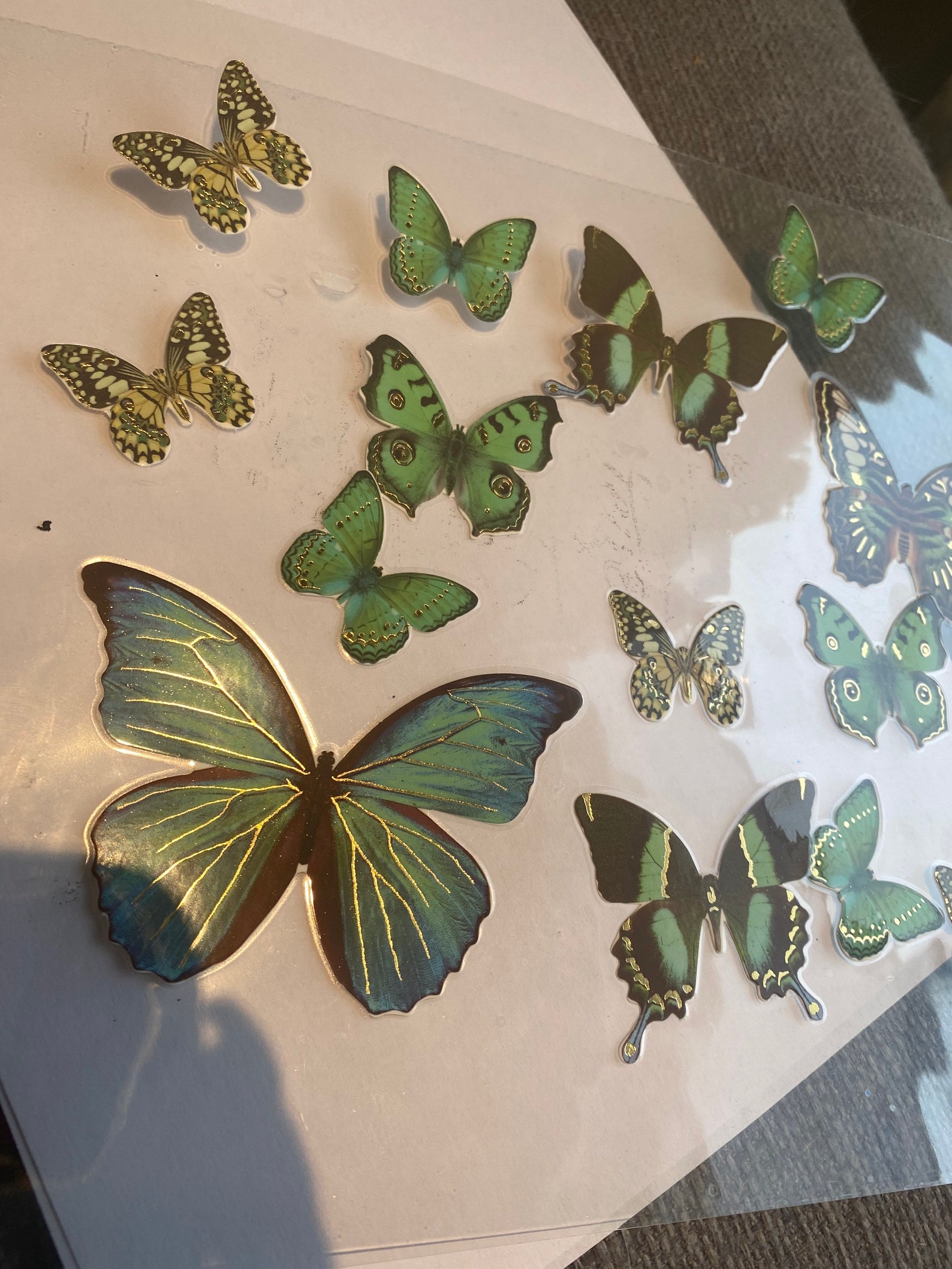 Laminated Butterflies Etsy