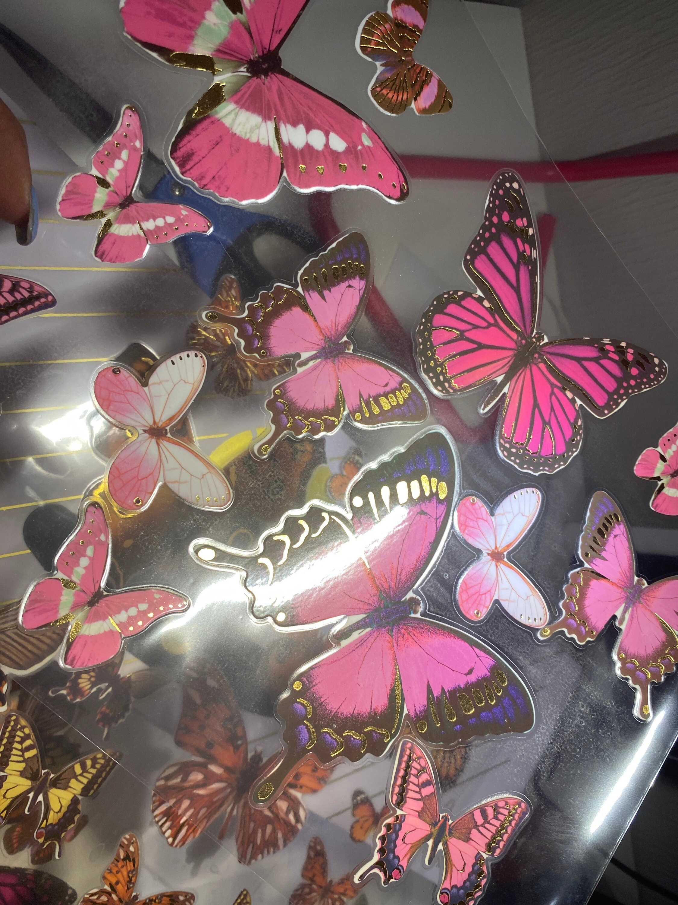 Laminated Butterflies Etsy