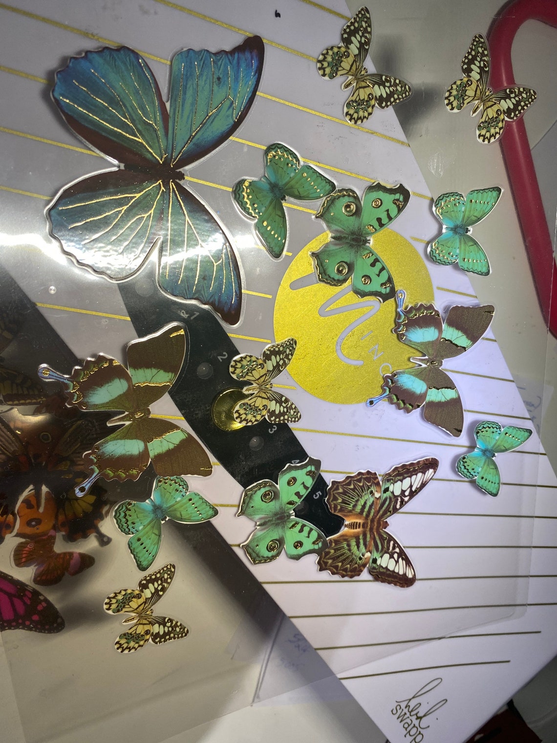 Laminated Butterflies Etsy