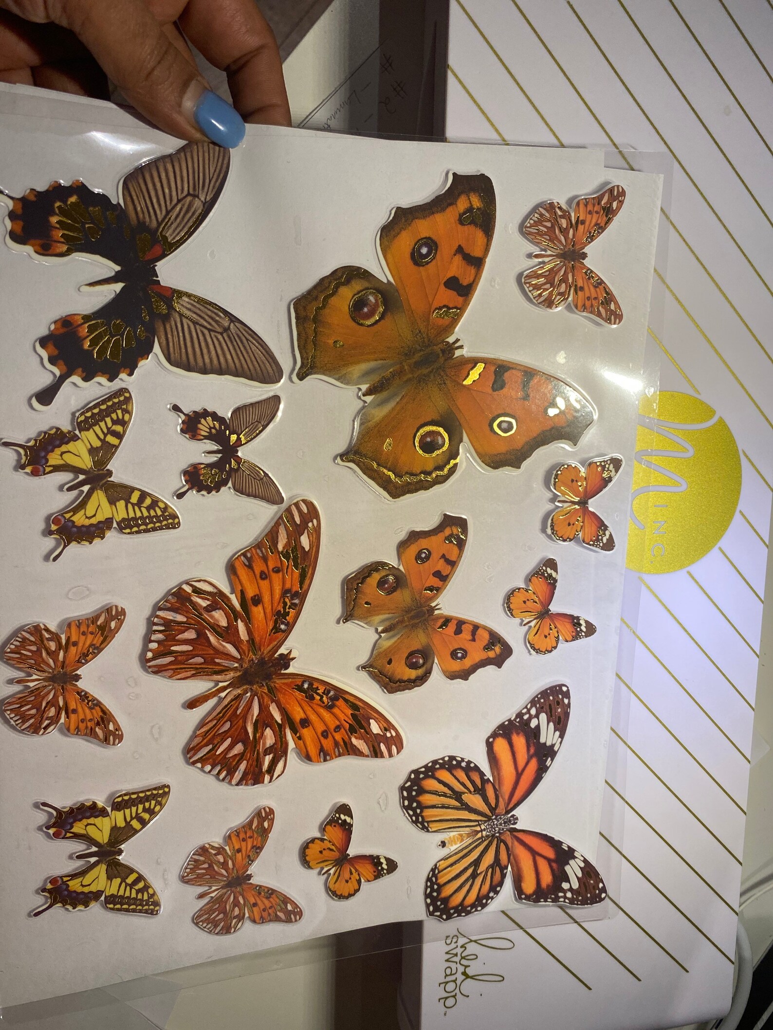 Laminated Butterflies Etsy