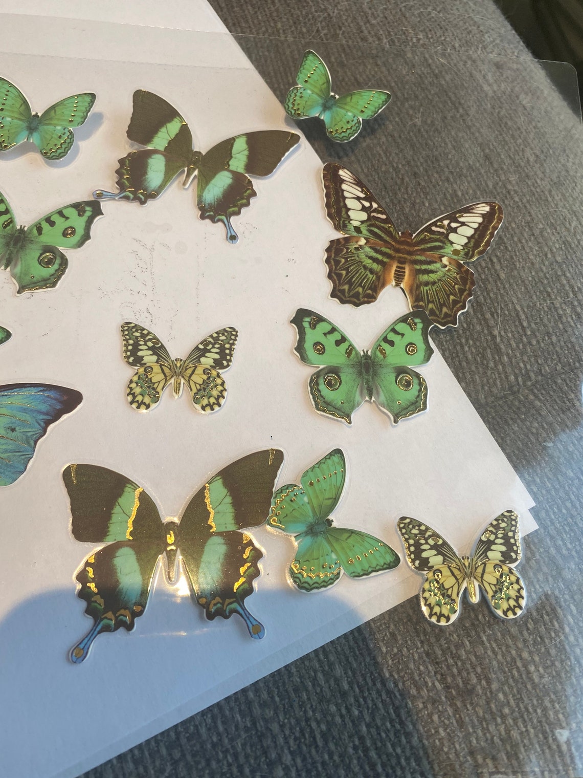 Laminated Butterflies Etsy