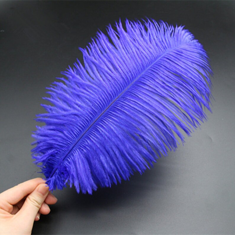 Ostrich Feathers for millinery hat handmade art,Wedding centerpieces decorations,home decorations