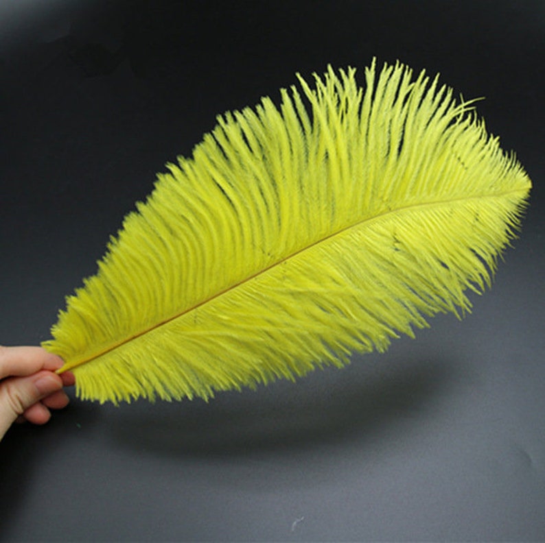Ostrich Feathers for millinery hat handmade art,Wedding centerpieces decorations,home decorations