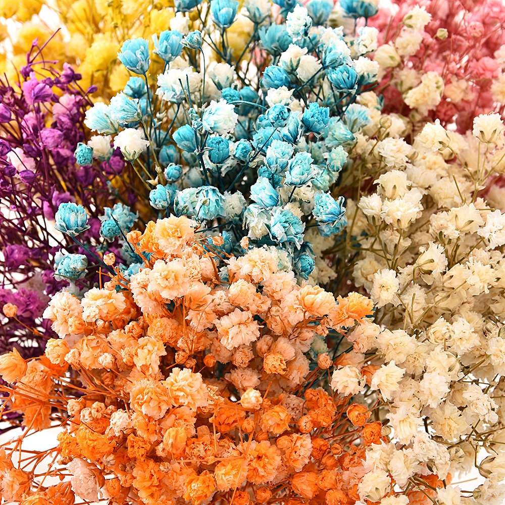 Real Happy Flower Small Natural Dried Flowers Bouquet Dry Flowers Press Mini Decorative
