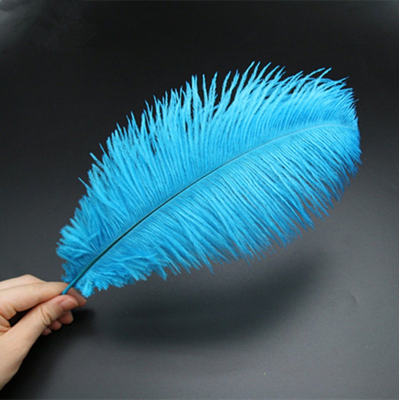 Ostrich Feathers for millinery hat handmade art,Wedding centerpieces decorations,home decorations