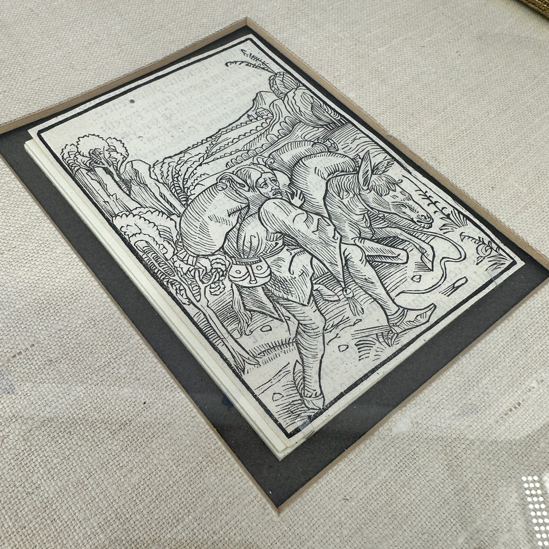 Albrecht Durer ship of Fools Woodcut Book Page - Etsy