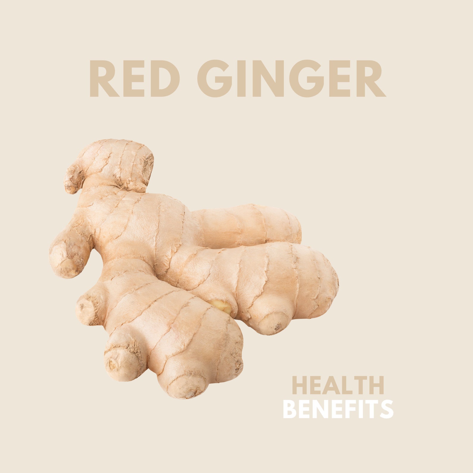 Red Ginger Powder, Freshly Ground Organic Ginger Root, Herbal Tonic