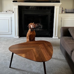 May include: A living room with a brown leather sofa, a wooden coffee table, a fireplace, and a dog sitting in front of the fireplace. The room has white built-in shelves with decor on them.