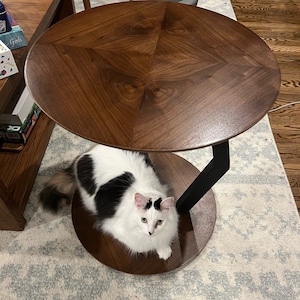 Könnte beinhalten: Eine schwarz-weiße Katze sitzt auf einem Holz-Beistelltisch mit einer dunklen Holzplatte und einem schwarzen Metallgestell. Der Tisch hat eine runde Platte und ein einzigartiges Design mit einem Sternmuster.