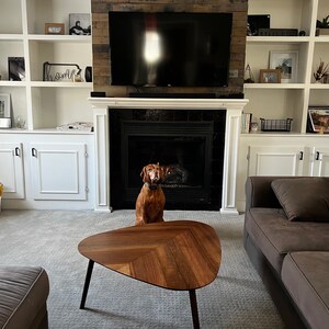 May include: A brown dog sits in front of a fireplace in a living room. The room has white built-in shelves with decor and a brown wooden coffee table with a chevron pattern.
