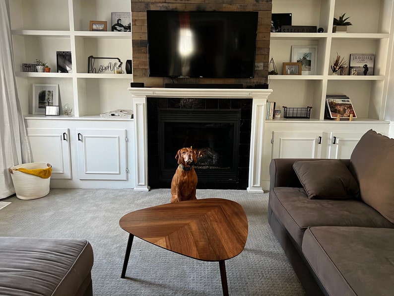 May include: A brown dog sits in front of a fireplace in a living room. The room has white built-in shelves with decor and a brown wooden coffee table with a chevron pattern.
