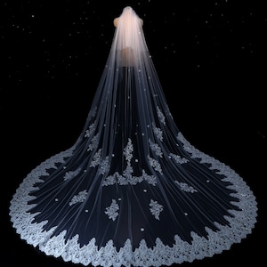 Lace Edge Wedding Veil, Cathedral Veil , Blusher Bridal Veil, 2 Tiers Lace Veil, Chapel Ivory Veil, Scattered Petals Veil